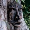 Friendly Ent Tree Face -Pots - Planters Store 8589841 001v