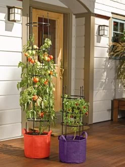 Gardener's Best® Tomato Grow Bag Set -Pots - Planters Store 8590013 170 tif