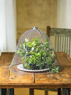 Chicken Wire Cloche -Pots - Planters Store 8590210 1 tif