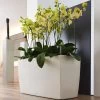 Lechuza® Cararo Rectangular Indoor Planter With Casters -Pots - Planters Store 8590295 02v lechuza cararo rectangular indoor planter with casters