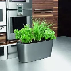 Lechuza® Delta Self-Watering Windowsill Planters 13 Lechuza® Delta Self-Watering Windowsill Planters -Pots - Planters Store 8590298 02V tif