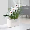 Lechuza® Delta Self-Watering Windowsill Planters -Pots - Planters Store 8590298 03V tif