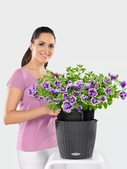 Lechuza® Nido Cottage Wicker Hanging Planter -Pots - Planters Store 8591154GT 006V tif