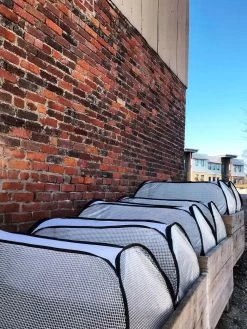 Row Shelter Accelerator -Pots - Planters Store 8591990 01IN tif