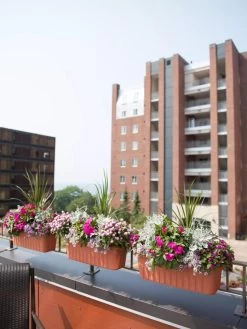 Adjustable Self-Watering Railing Planter, 24" -Pots - Planters Store 8592173TC 2383 tif