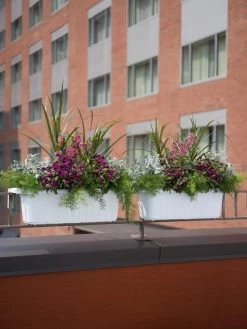 Adjustable Self-Watering Railing Planter, 24" -Pots - Planters Store 8592173WH 2403 tif