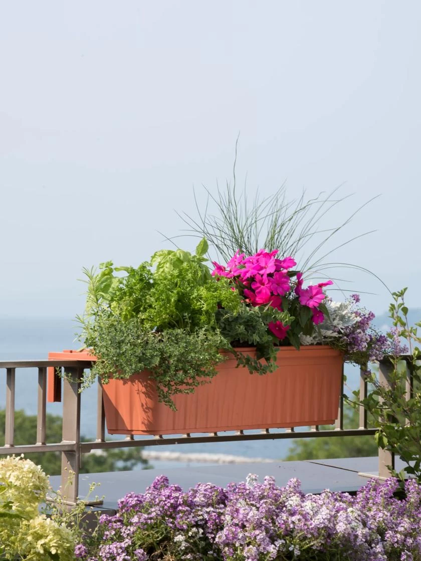 Adjustable Self-Watering Railing Planter, 32" 3 Adjustable Self-Watering Railing Planter, 32"