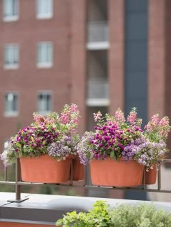 Self-Watering Saddle Railing Planter, 16" -Pots - Planters Store 8592175TC 2421 tif