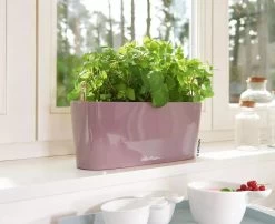 Lechuza® Delta Self-Watering Windowsill Planters 14 Lechuza® Delta Self-Watering Windowsill Planters -Pots - Planters Store 8592361 01V tif