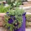 Gardener’s Best® Strawberry And Herb Grow Bag 1 Gardener’s Best® Strawberry And Herb Grow Bag -Pots - Planters Store 8592705PR 776 tif