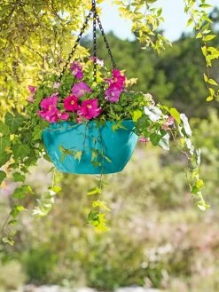 Viva Self-Watering Hanging Basket, 11" Diameter -Pots - Planters Store 8592707 5243 tif