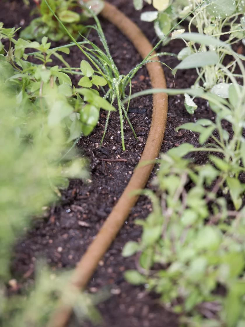 Premium 1/2" Soaker Hose 6 Premium 1/2" Soaker Hose - Image 4