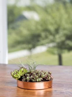 Extra Small Round Copper Plant Tray, 8" -Pots - Planters Store 8593528 4521 tif