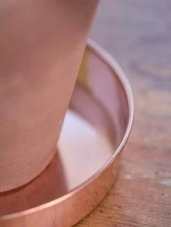 Extra Small Round Copper Plant Tray, 8" -Pots - Planters Store 8593528 4529 tif