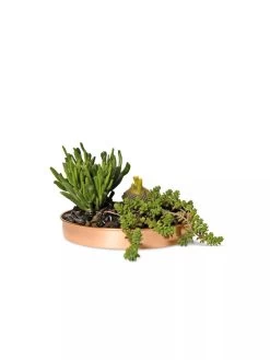 Pots - Planters Store -Pots - Planters Store 8593529 2908 tif