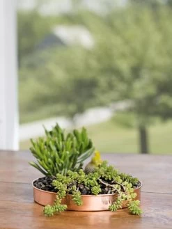 Pots - Planters Store 16 Small Round Copper Plant Tray, 10"