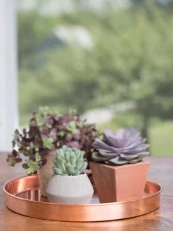 Large Round Copper Plant Tray, 14" -Pots - Planters Store 8593531 4518 tif