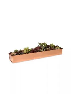Rectangular Copper Plant Tray, 18"x4" -Pots - Planters Store 8593532 2892 tif