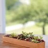 Rectangular Copper Plant Tray, 18"x4" 1 Rectangular Copper Plant Tray, 18"x4" -Pots - Planters Store 8593532 4632 tif