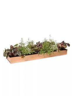 Rectangular Copper Plant Tray, 24" X 5" -Pots - Planters Store 8593533 2878 tif