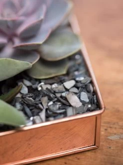 Rectangular Copper Plant Tray, 24" X 5" -Pots - Planters Store 8593533 4570 tif