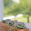 Rectangular Copper Plant Tray, 24" X 5" -Pots - Planters Store 8593533 4624 tif