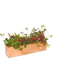 Tall Rectangular Copper Plant Tray, 18" X 5" X 4" 10 Tall Rectangular Copper Plant Tray, 18" X 5" X 4" -Pots - Planters Store 8593534 2899 tif