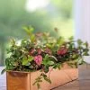 Tall Rectangular Copper Plant Tray, 18" X 5" X 4" 2 Tall Rectangular Copper Plant Tray, 18" X 5" X 4" -Pots - Planters Store 8593534 4617 tif