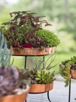 Small Round Copper Plant Tray, 10" -Pots - Planters Store 8593564 4399 tif