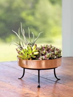 Extra Small Round Copper Plant Tray, 8" -Pots - Planters Store 8593564 4641 001E tif