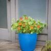 Viva Round Self-Watering Rolling Planter, 17.25” Diameter 2 Viva Round Self-Watering Rolling Planter, 17.25” Diameter -Pots - Planters Store 8594077 0087 tif