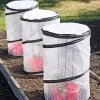 Tomato TLC Kits, Set Of 3 -Pots - Planters Store 8594214 0183 tif