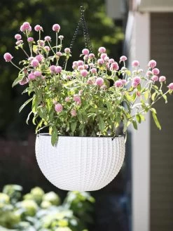 Weave Self-Watering Hanging Basket, 10" -Pots - Planters Store 8594316 824 tif