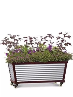 Short Galvanized Self-Watering Trough Planter -Pots - Planters Store 8594329 5065 tif