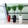 Lechuza® Rondo Self-Watering Planters 1 Lechuza® Rondo Self-Watering Planters -Pots - Planters Store 8594586 01V tif