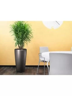 Lechuza® Rondo Self-Watering Planters -Pots - Planters Store 8594586 02V tif