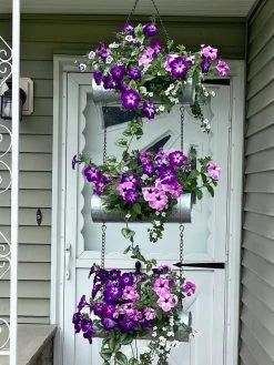 Galvanized Hanging Triple Planter -Pots - Planters Store 8595213 02CUST tif