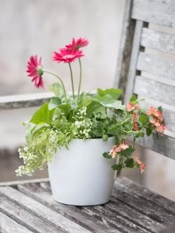 Viva Round Self-Watering Planter, 7" Diameter 10 Viva Round Self-Watering Planter, 7" Diameter -Pots - Planters Store 8595222 1139 tif