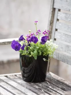 Viva Round Self-Watering Planter, 7" Diameter 11 Viva Round Self-Watering Planter, 7" Diameter -Pots - Planters Store 8595222 1140 tif