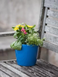 Viva Round Self-Watering Planter, 7" Diameter 9 Viva Round Self-Watering Planter, 7" Diameter -Pots - Planters Store 8595222 1143 tif