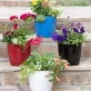 Viva Round Self-Watering Planter, 7" Diameter 1 Viva Round Self-Watering Planter, 7" Diameter -Pots - Planters Store 8595222 5302 tif