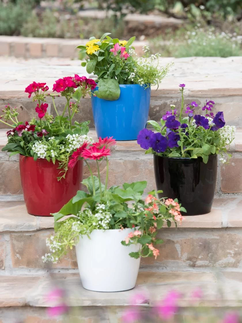 Viva Round Self-Watering Planter, 7" Diameter 3 Viva Round Self-Watering Planter, 7" Diameter