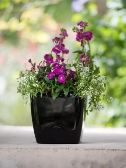 Viva Square Self-Watering Planter, 7" Diameter -Pots - Planters Store 8595223 1107 tif