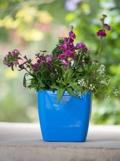 Viva Square Self-Watering Planter, 7" Diameter -Pots - Planters Store 8595223 1113 tif