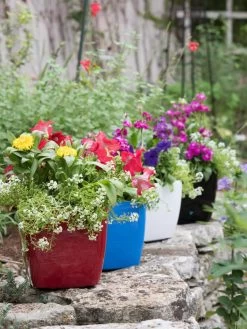 Viva Square Self-Watering Planter, 7" Diameter -Pots - Planters Store 8595223 5308 tif