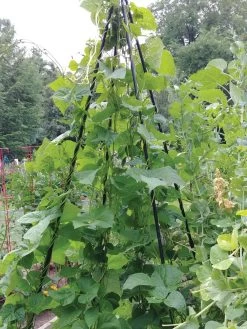 Titan Teepee Trellis -Pots - Planters Store 8595757 01EMP tif