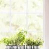 Galvanized Herb Planters With Rectangular Tray -Pots - Planters Store 8595903 5946 tif