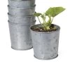 Galvanized Planting Cups, Set Of 5 1 Galvanized Planting Cups, Set Of 5 -Pots - Planters Store 8596104 9899 tif