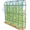 Titan Pea Tunnel -Pots - Planters Store 8596275 0002 1 tif