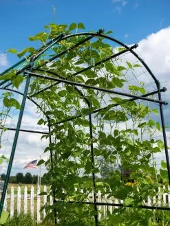 Titan Squash Tunnel 19 Titan Squash Tunnel -Pots - Planters Store 8596276 0122 tif